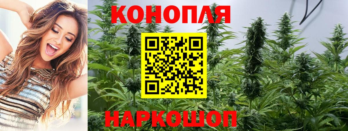 Бошки марихуана SATIVA & INDICA  Бошки марихуана план  Каннабис MAZAR  Вход с VPN  Канабис MAZAR  Ишимбай 